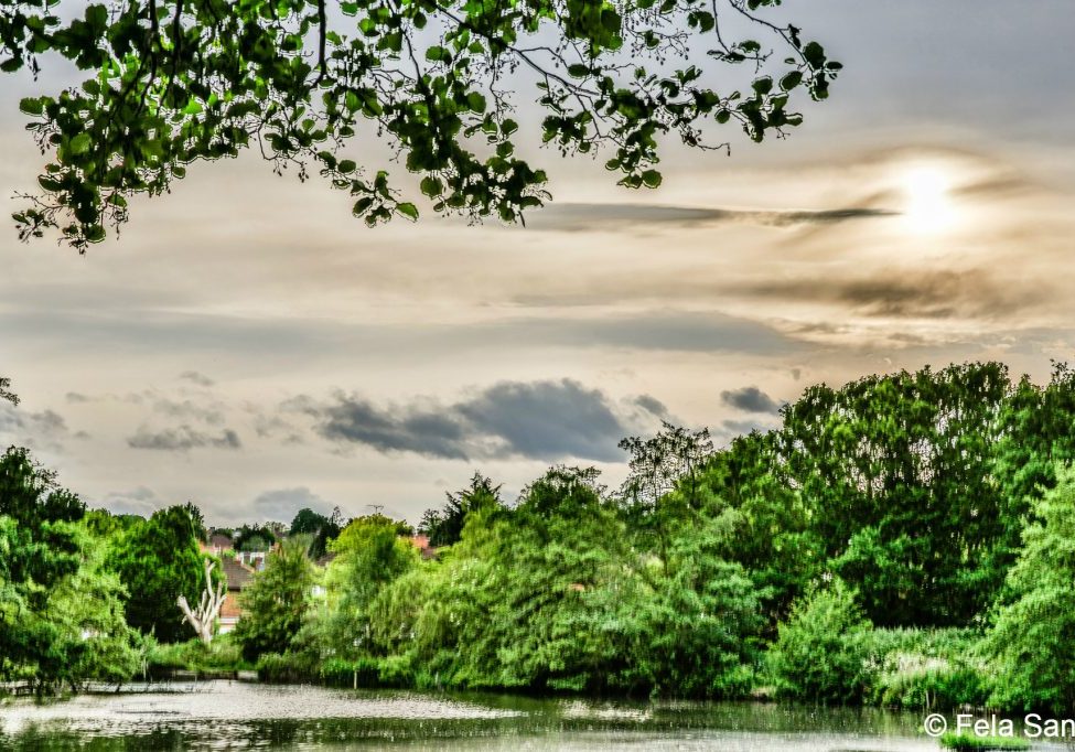 BOXERS LAKE ENFIELD