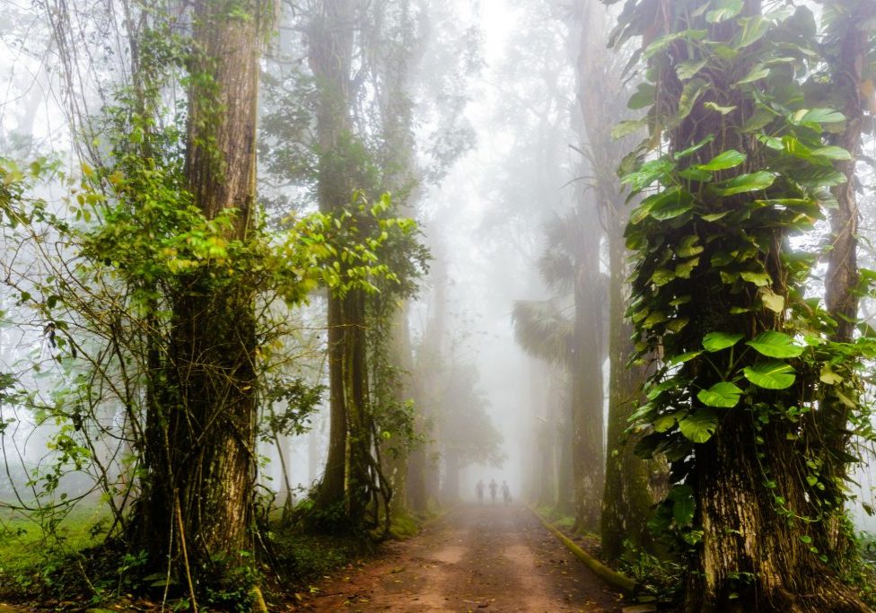 ABURI BOTANICAL GARDENS